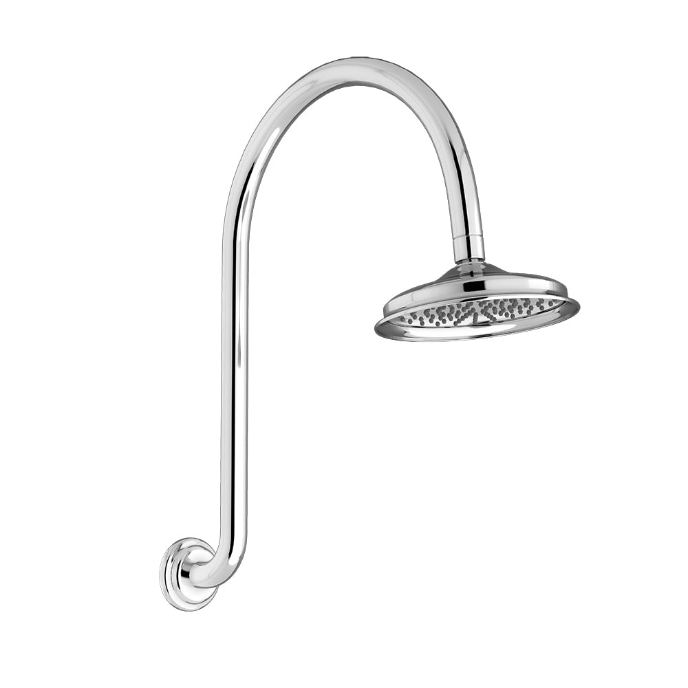 Augustine Classic Traditional Shower Head and Arm - Chrome