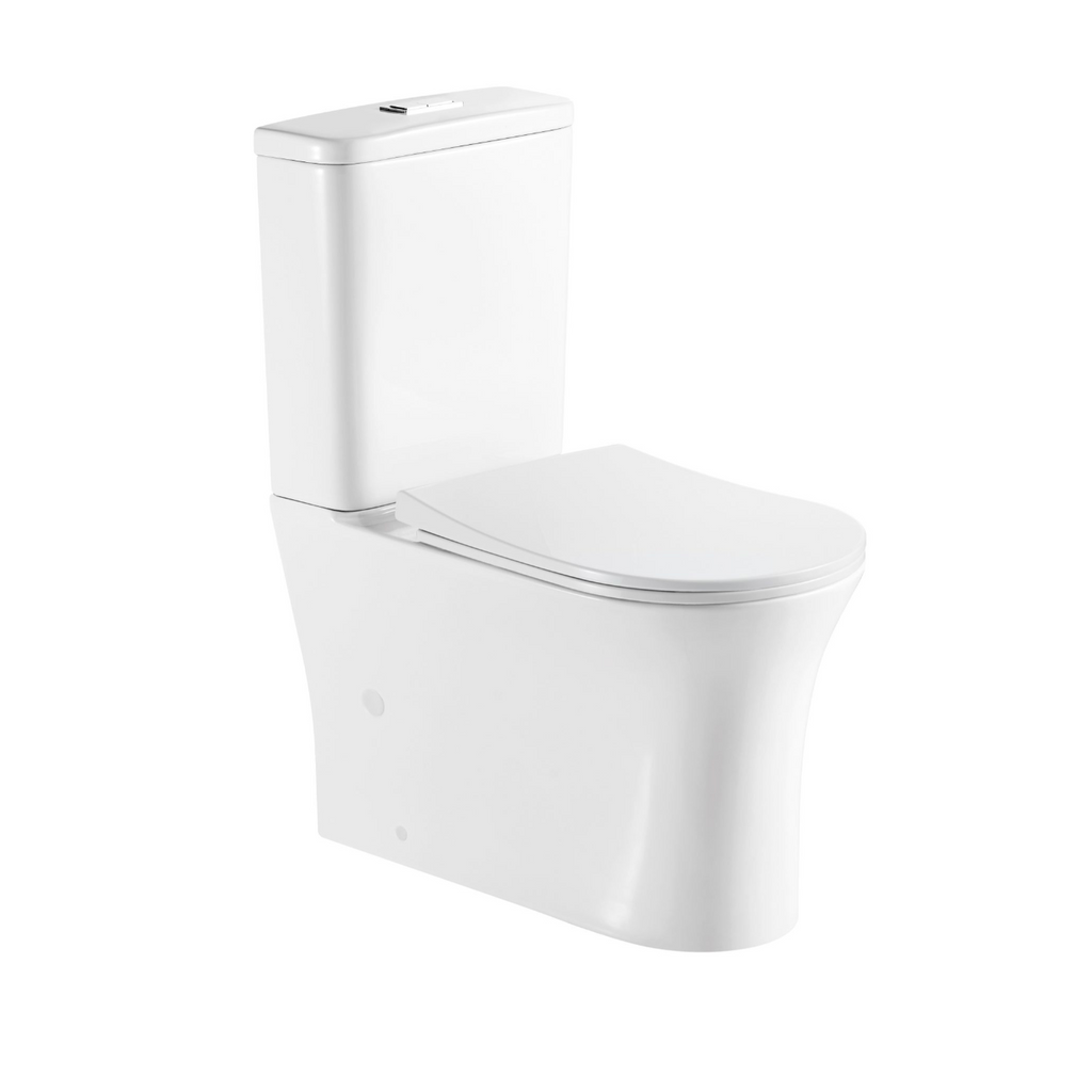 Tori Back to Wall Toilet Suite Gloss White