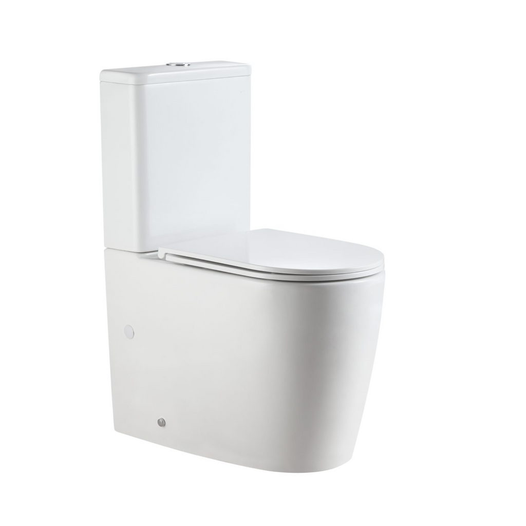 Wattle Back To Wall Toilet Suite Gloss White